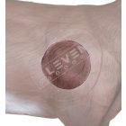 Kőszáli kecske betét