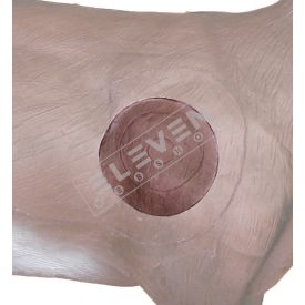 Kőszáli kecske betét