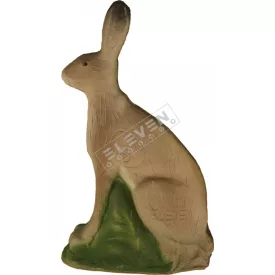 Nyúl