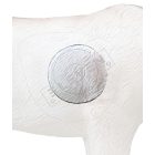 Fehér farkas inzert