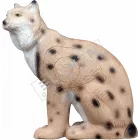 Hiúz