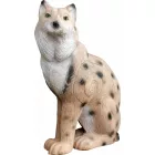 Hiúz