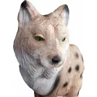 Hiúz