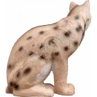 Hiúz