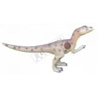 Allosaurus inzert