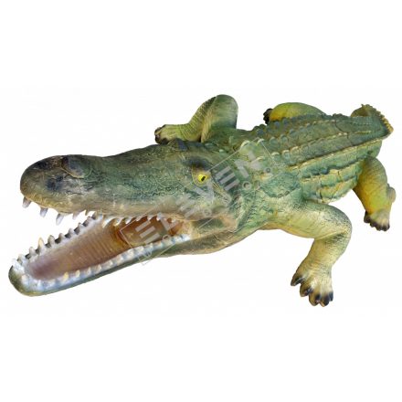 Krokodil inzerttel
