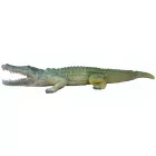 Krokodil inzerttel