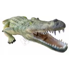 Krokodil inzerttel