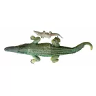 Krokodil inzerttel