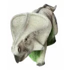 Protoceratops inzerttel