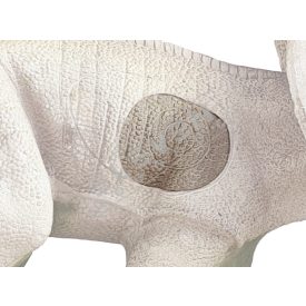 Protoceratops inzert