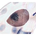 Óriás béka inzert