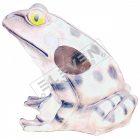 Óriás béka inzert