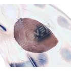 Óriás béka inzert