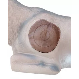 ELEVEN 3D inzertek